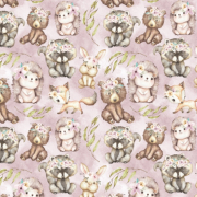 Момичешки истории FOX DREAM Girlstory