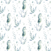 Морско конче FOX DREAM PROMO Konche