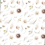 Слънчогледи FOX DREAM Sunflower